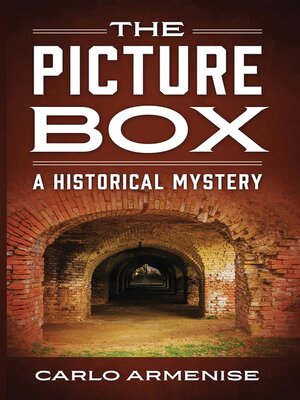 cover image of The Picture Box